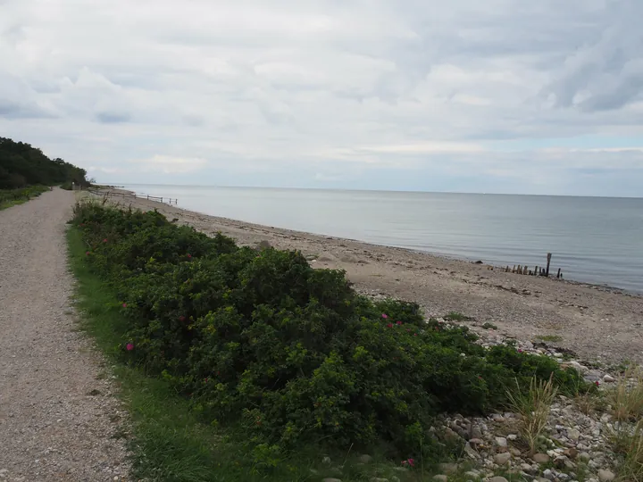 Halshuisene + Enebaerodde Beach (Denemarken)